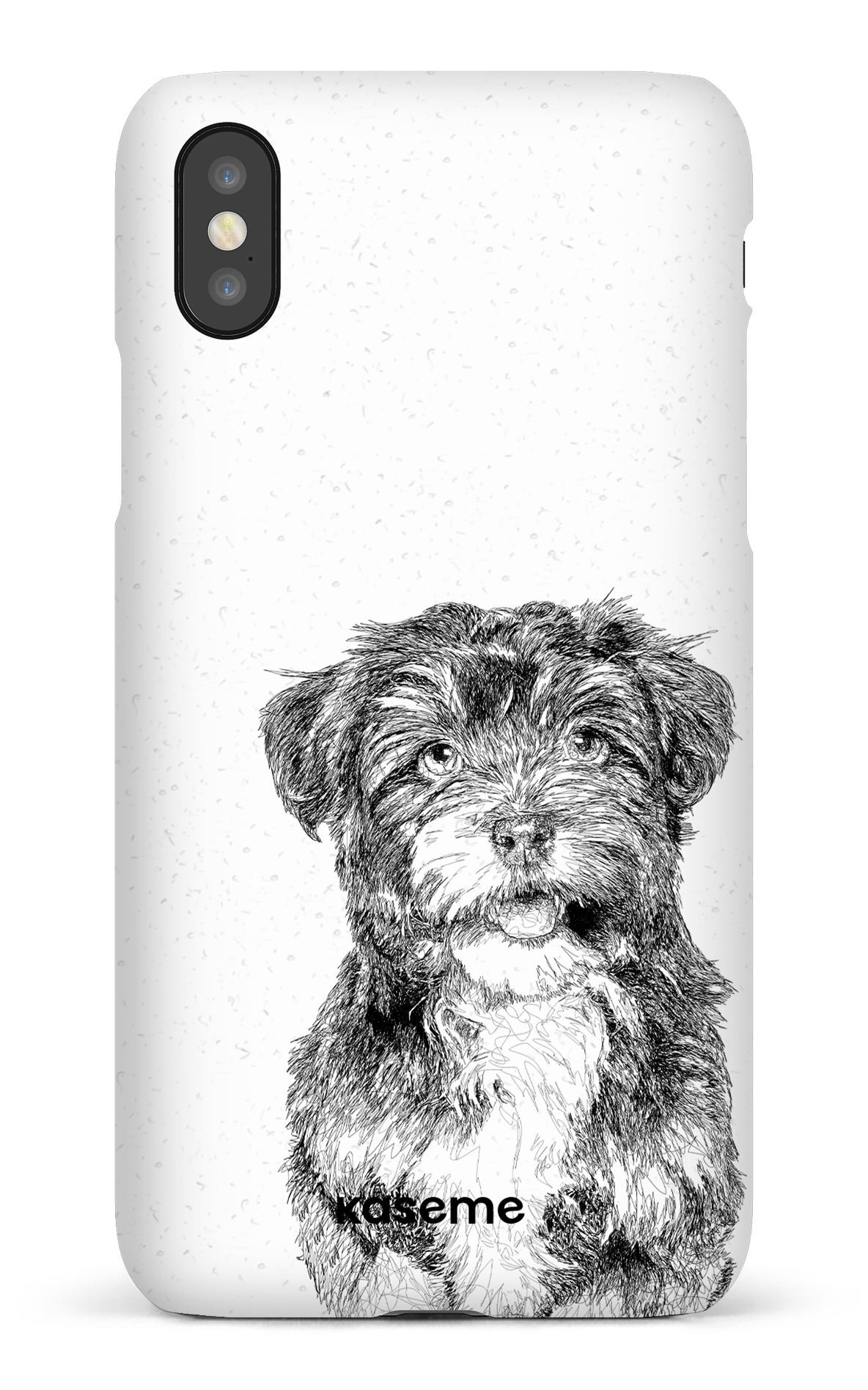 Havanese - iPhone X/Xs