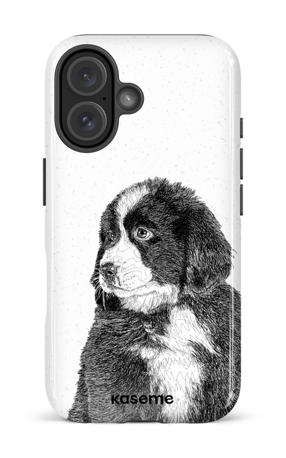 Bernese Mountain Dog - iPhone 16