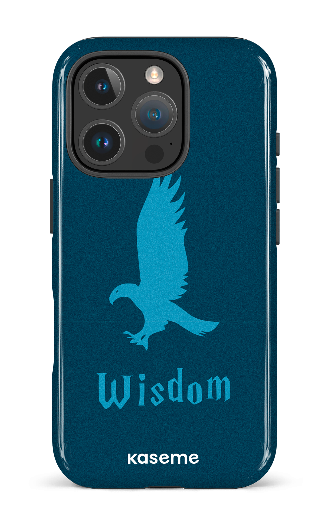 Wisdom - iPhone 16 Pro