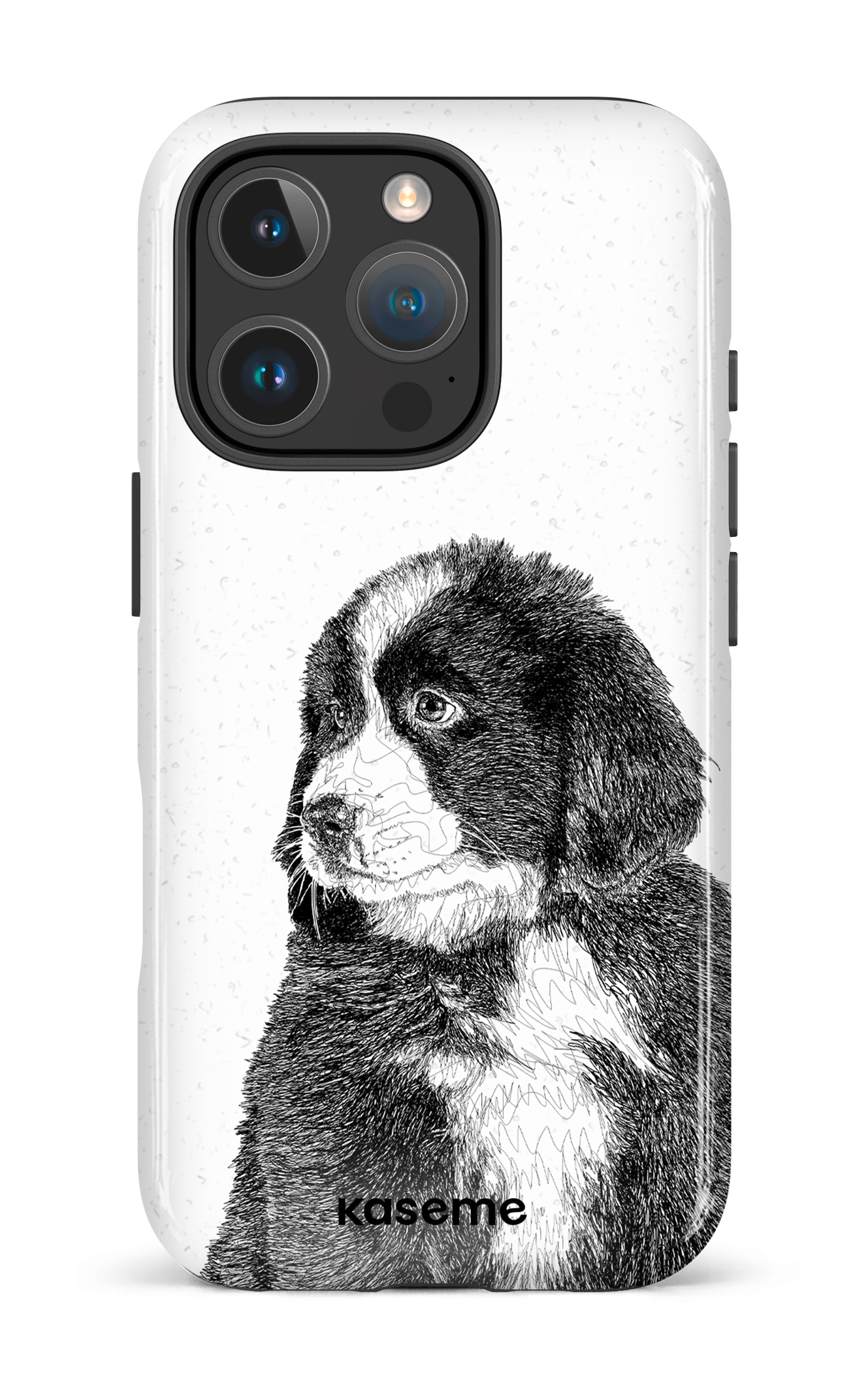 Bernese Mountain Dog - iPhone 16 Pro