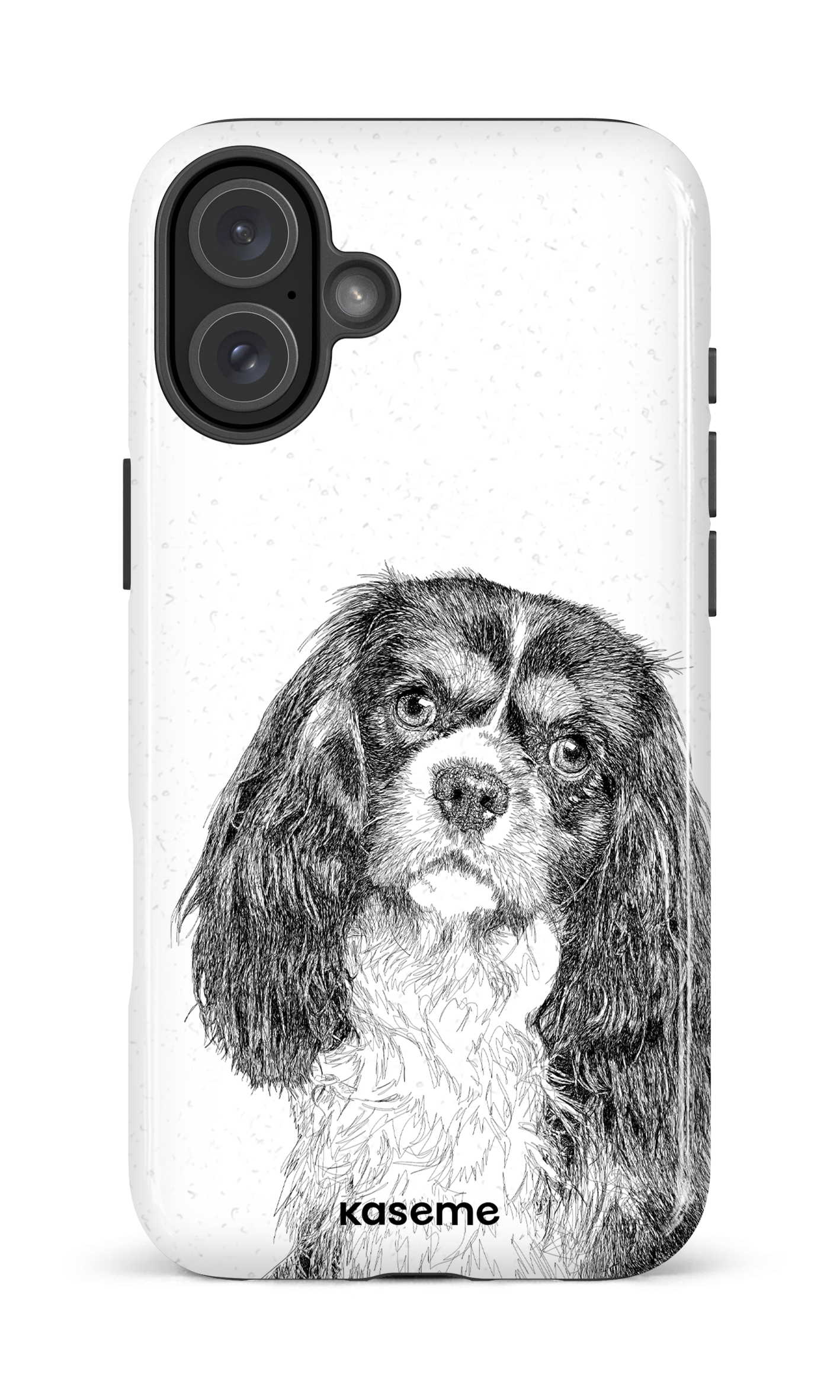 Cavalier King Charles Spaniel - iPhone 16 Plus