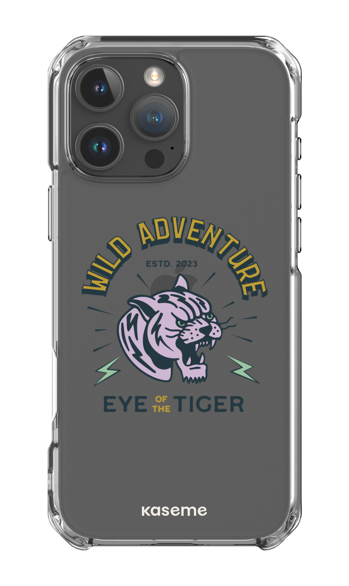 Wildcats clear case - iPhone 16 Pro Max