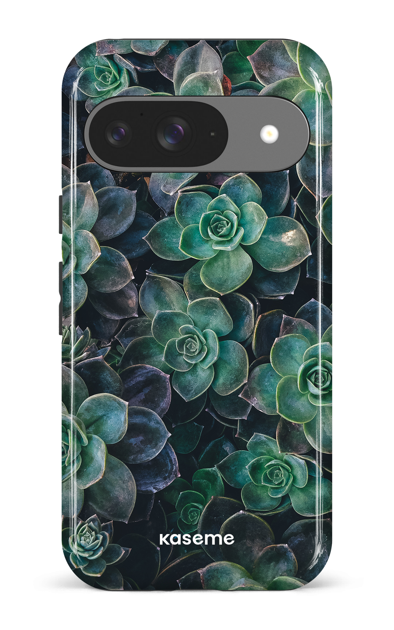 Succulente - Google Pixel 9